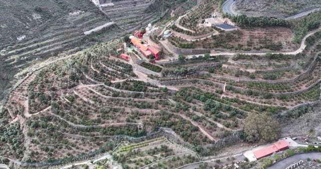 4 chambre Finca/Maison de Campagne à vendre à Telde avec garage - 5 450 000 € (Ref: 9378696)