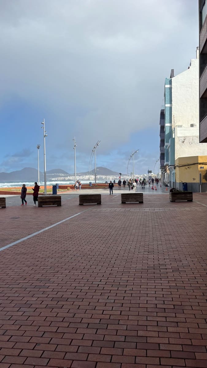 1 bedroom Flat for rent in Las Palmas de Gran Canaria - € 1,000 (Ref: 9503822)