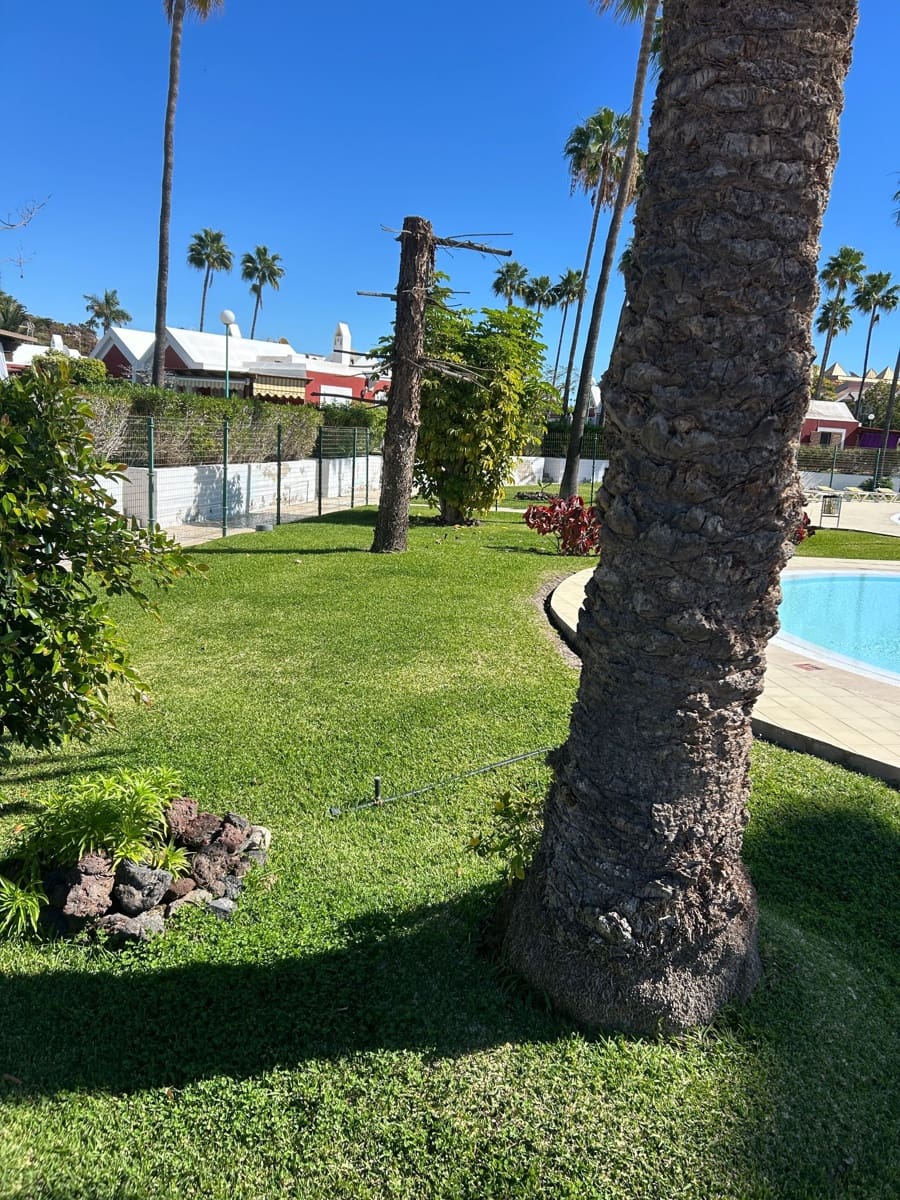 1 bedroom Bungalow for sale in Campo Internacional with pool garage - € 420,000 (Ref: 9585348)