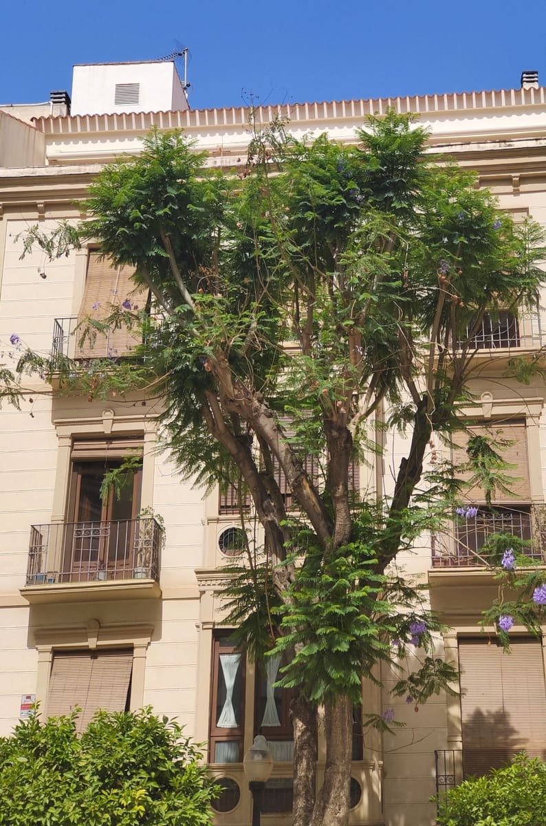 13 bedroom Hotel for sale in Brena Alta - € 2,200,000 (Ref: 9821984)