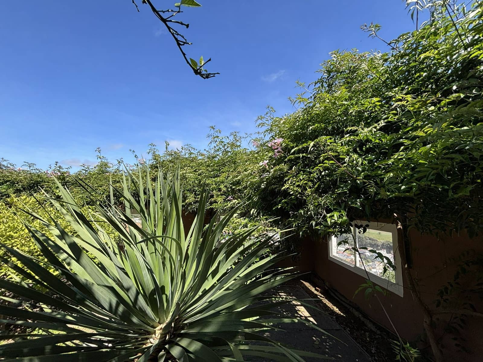 5 slaapkamer Villa te koop in Las Palmas de Gran Canaria - € 620.000 (Ref: 9828246)