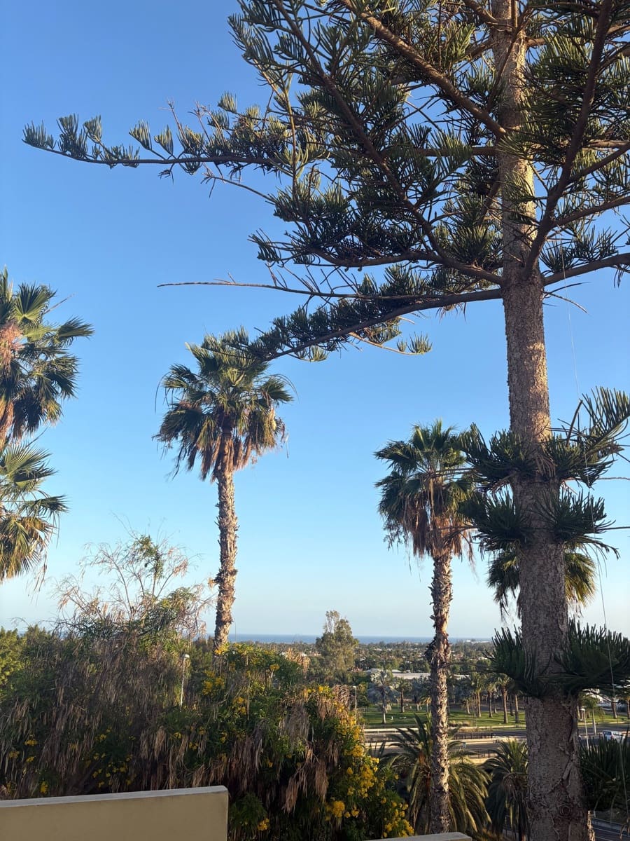 3 bedroom Villa for rent in San Bartolome de Tirajana - € 2,300 (Ref: 9888667)