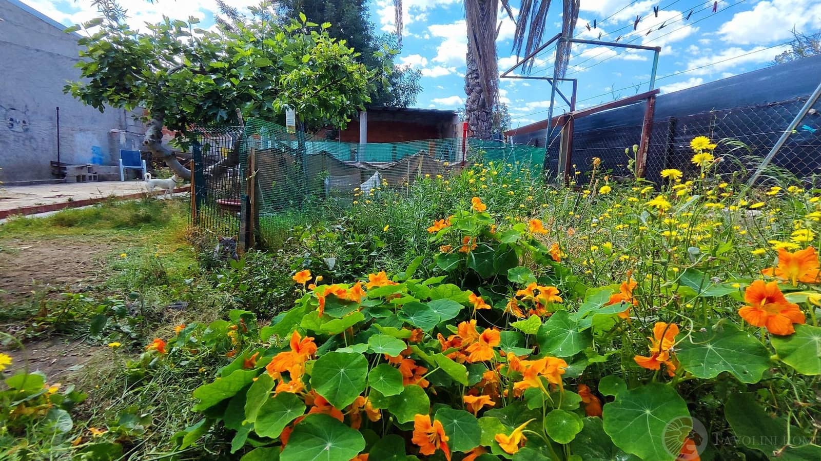 8 sypialnia Willa na sprzedaż w El Campello - 435 000 € (Ref: 9106127)