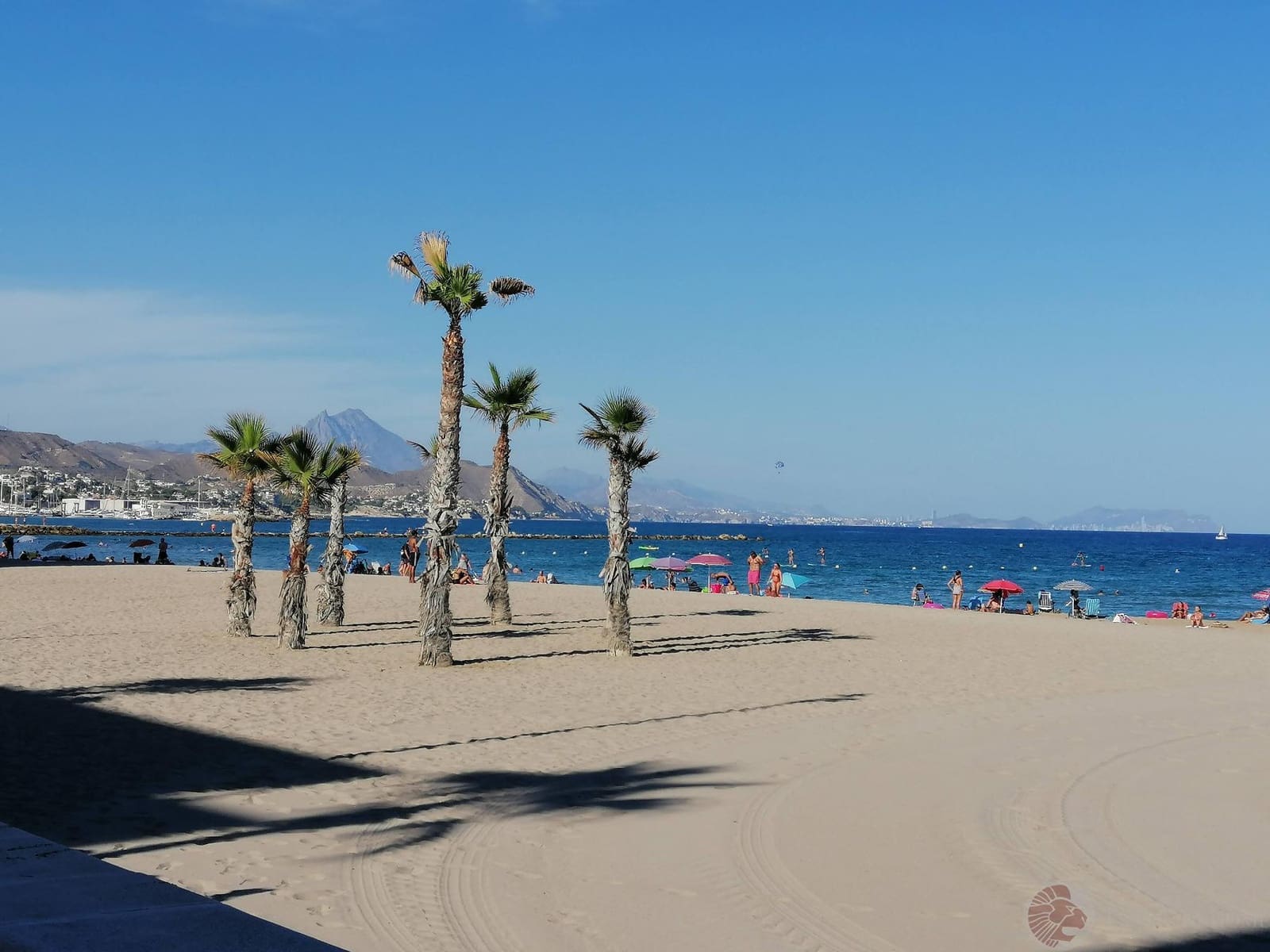 Piso de 3 habitaciones en El Campello en alquiler con piscina garaje - 1.000 € (Ref: 9471793)