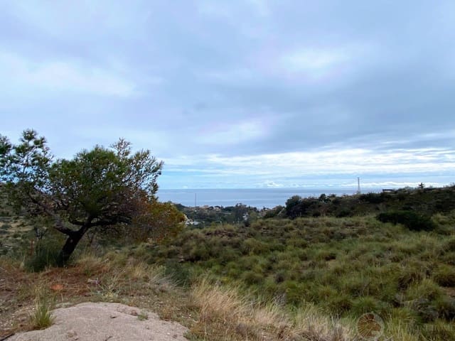 2 slaapkamer Commercieel te koop in Coveta Fuma, El Campello - € 190.000 (Ref: 9679325)