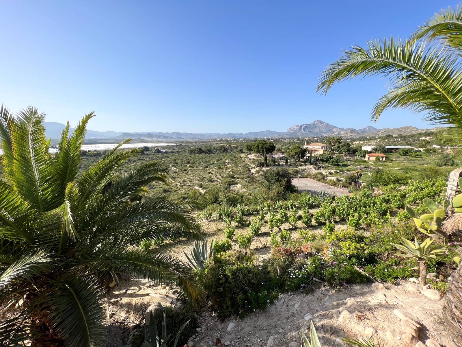 5 slaapkamer Villa te koop in Alicante stad met zwembad garage - € 1.050.000 (Ref: 7008198)