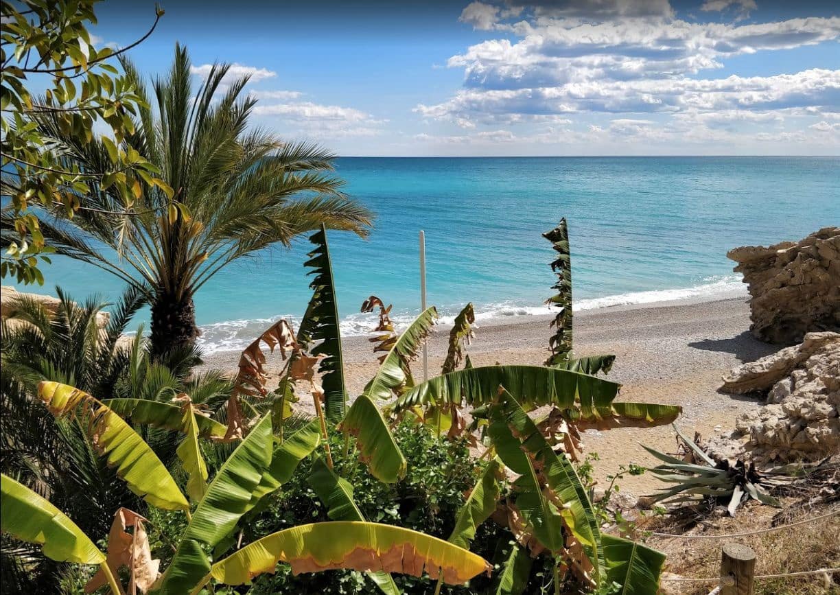 Byggetomt til salgs i Montiboli - € 260 000 (Ref: 7923924)