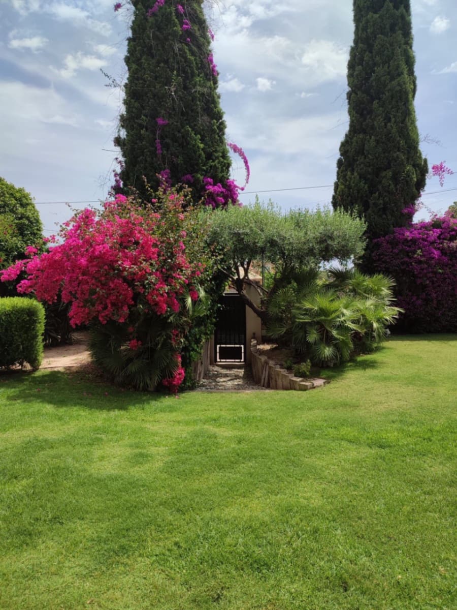 4 chambre Villa/Maison à vendre à San Vicente / Sant Vicent del Raspeig - 680 000 € (Ref: 9041657)