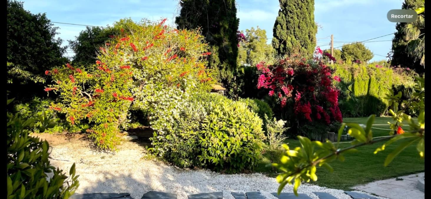 4 chambre Villa/Maison à vendre à San Vicente / Sant Vicent del Raspeig - 680 000 € (Ref: 9041657)