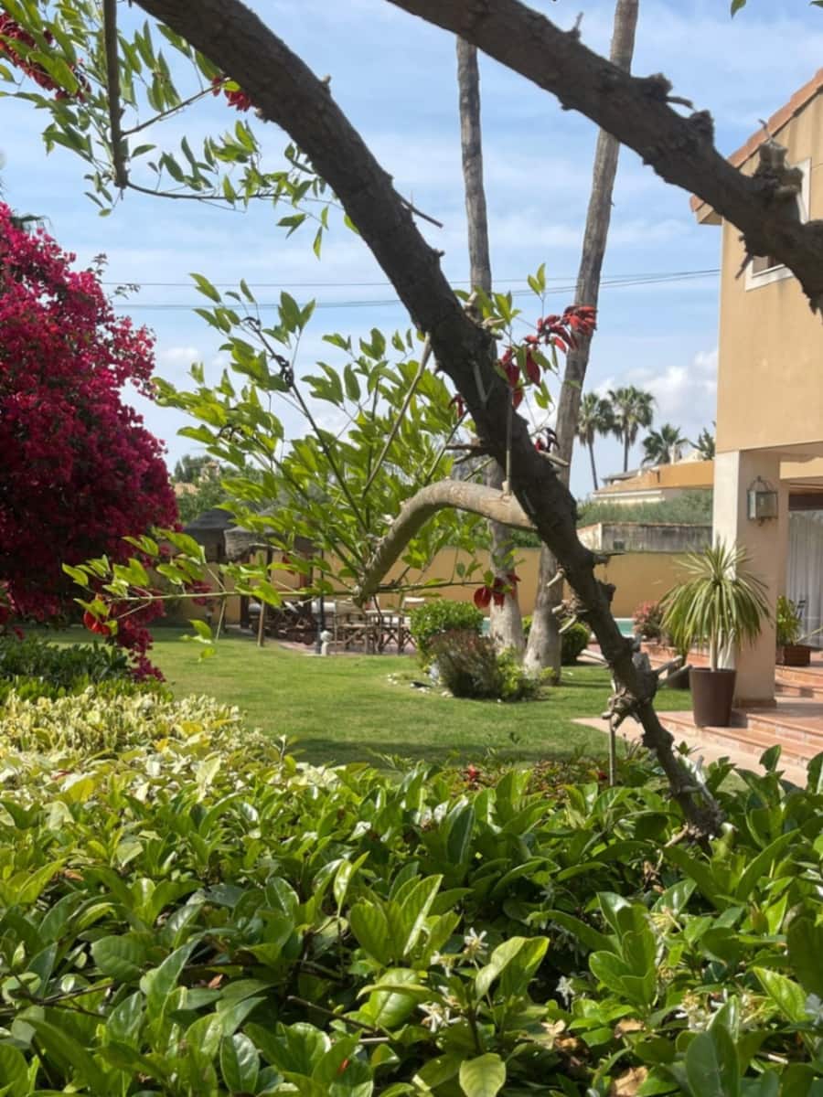 4 chambre Villa/Maison à vendre à San Vicente / Sant Vicent del Raspeig - 680 000 € (Ref: 9041657)