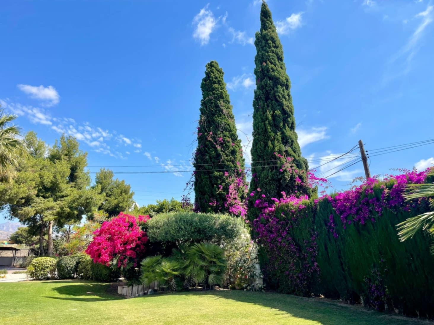 4 chambre Villa/Maison à vendre à San Vicente / Sant Vicent del Raspeig - 680 000 € (Ref: 9041657)