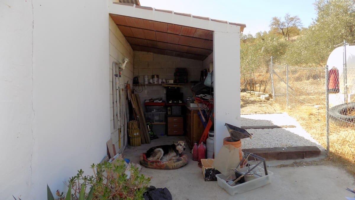 4 soveværelse Finca/Landehus til salg i El Burgo - € 450.000 (Ref: 4694846)