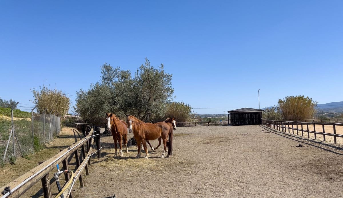 4 makuuhuone Huvila myytävänä paikassa Alhaurin el Grande mukana uima-altaan 
autotalli - 999 999 € (Ref: 8157827)