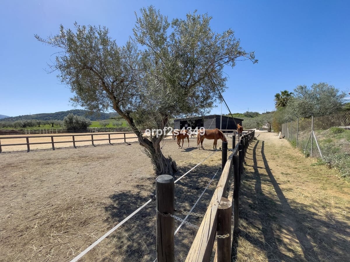 4 Zimmer Villa zu verkaufen in Alhaurin el Grande mit Pool Garage - 999.999 € (Ref: 8157827)