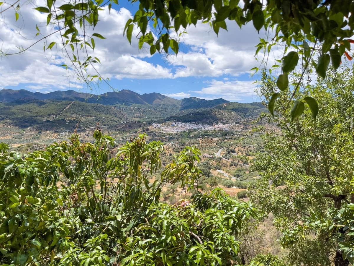 8 soveværelse Villa til salg i Monda med swimmingpool garage - € 875.000 (Ref: 8371955)