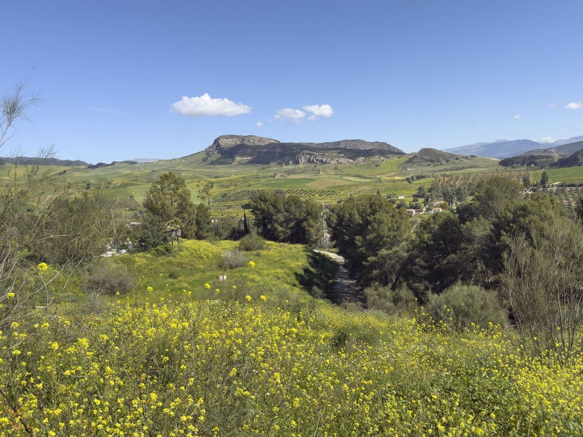 3 soverom Finca/Herregård til salgs i Pizarra med svømmebasseng garasje - € 390 000 (Ref: 8909762)