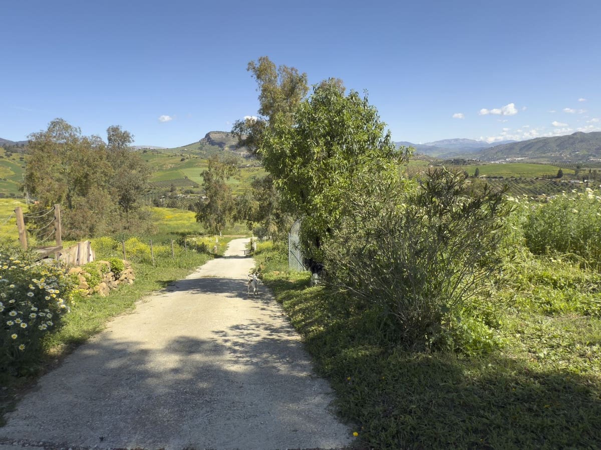 3 soverom Finca/Herregård til salgs i Pizarra med svømmebasseng garasje - € 390 000 (Ref: 8909762)