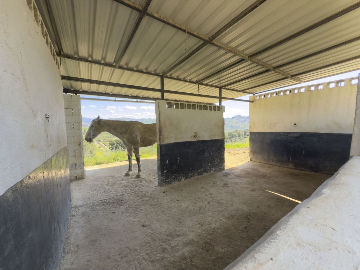 3 soverom Finca/Herregård til salgs i Pizarra med svømmebasseng garasje - € 390 000 (Ref: 8909762)