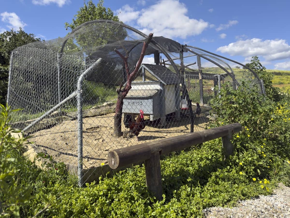 3 soverom Finca/Herregård til salgs i Pizarra med svømmebasseng garasje - € 390 000 (Ref: 8909762)