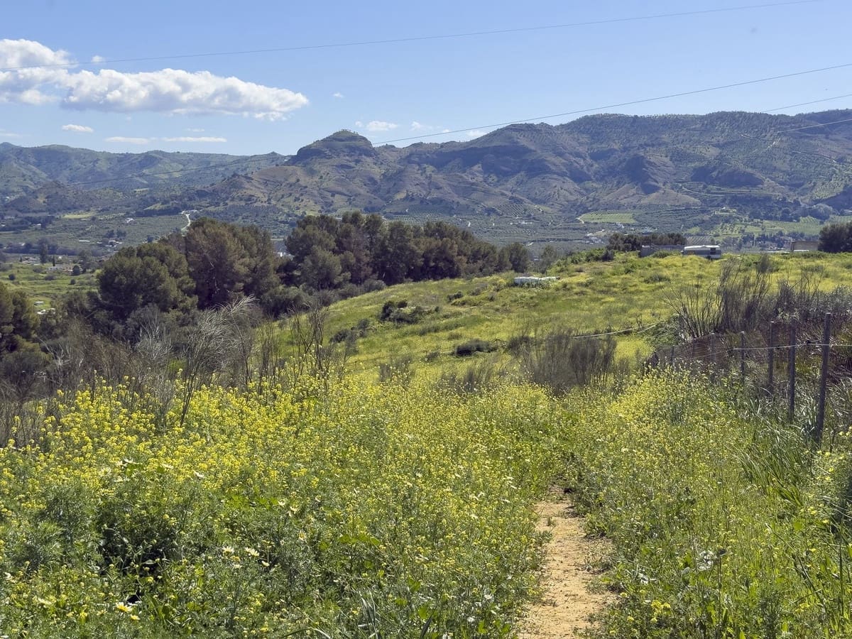 3 soverom Finca/Herregård til salgs i Pizarra med svømmebasseng garasje - € 390 000 (Ref: 8909762)