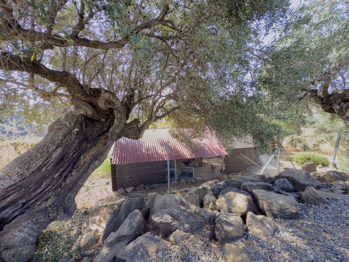 3 soveværelse Finca/Landehus til salg i Tolox med swimmingpool garage - € 375.000 (Ref: 9095795)