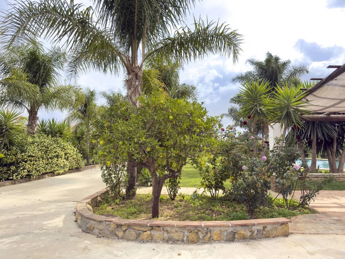 3 chambre Finca/Maison de Campagne à vendre à Alhaurin el Grande avec piscine garage - 650 000 € (Ref: 9322803)