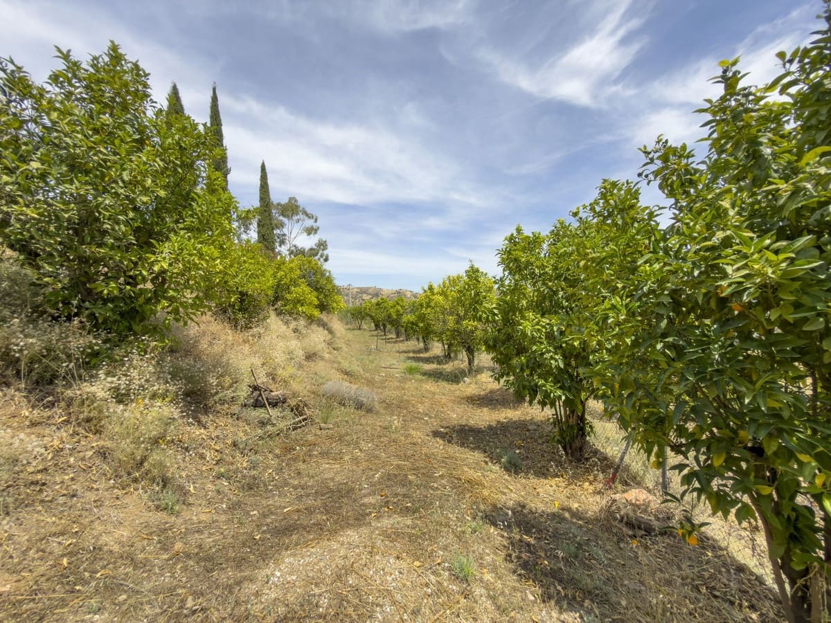 Finca/Casa Rural de 4 habitaciones en Coín en venta con piscina garaje - 525.000 € (Ref: 9940664)