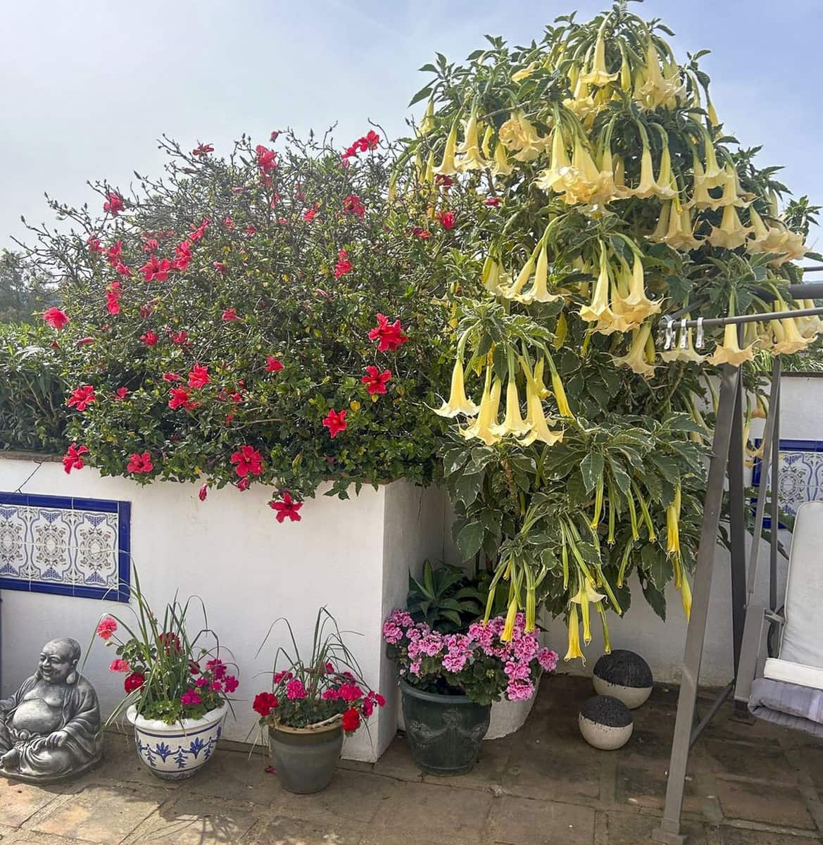 Finca/Casa Rural de 4 habitaciones en Coín en venta con piscina garaje - 525.000 € (Ref: 9940664)
