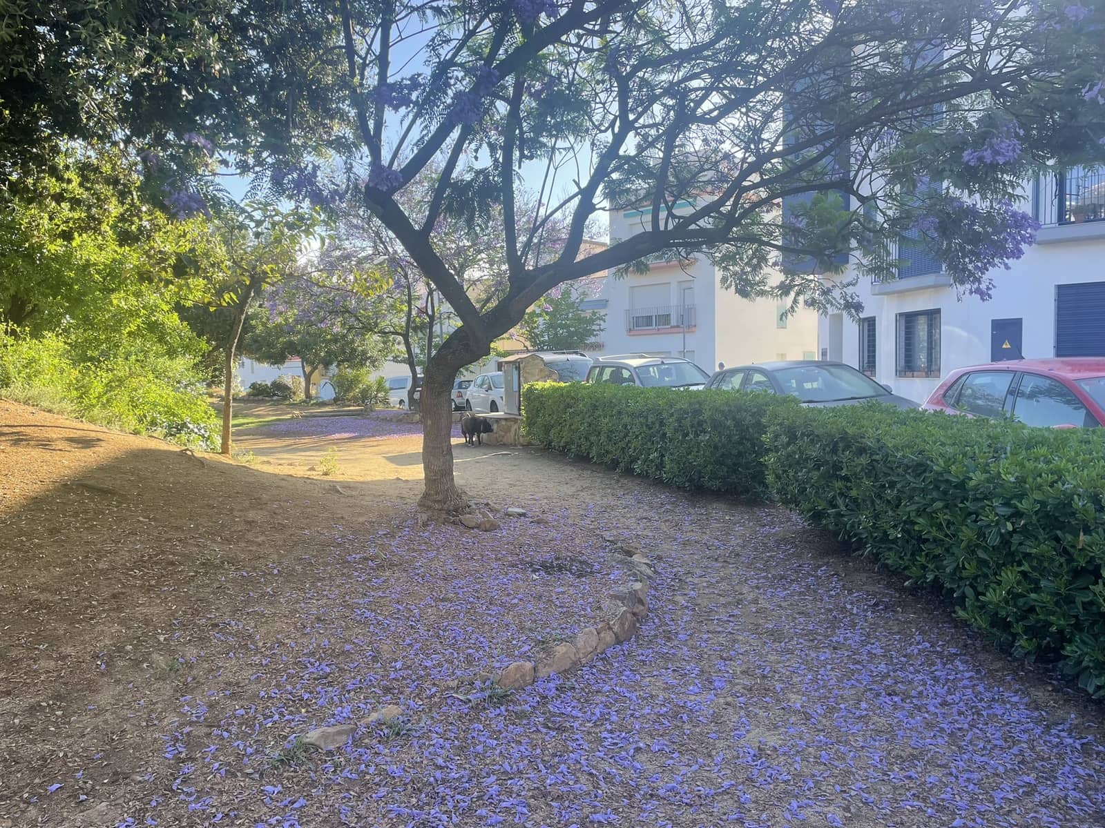 3 chambre Appartement à vendre à Sant Pol de Mar avec piscine - 179 000 € (Ref: 10109928)