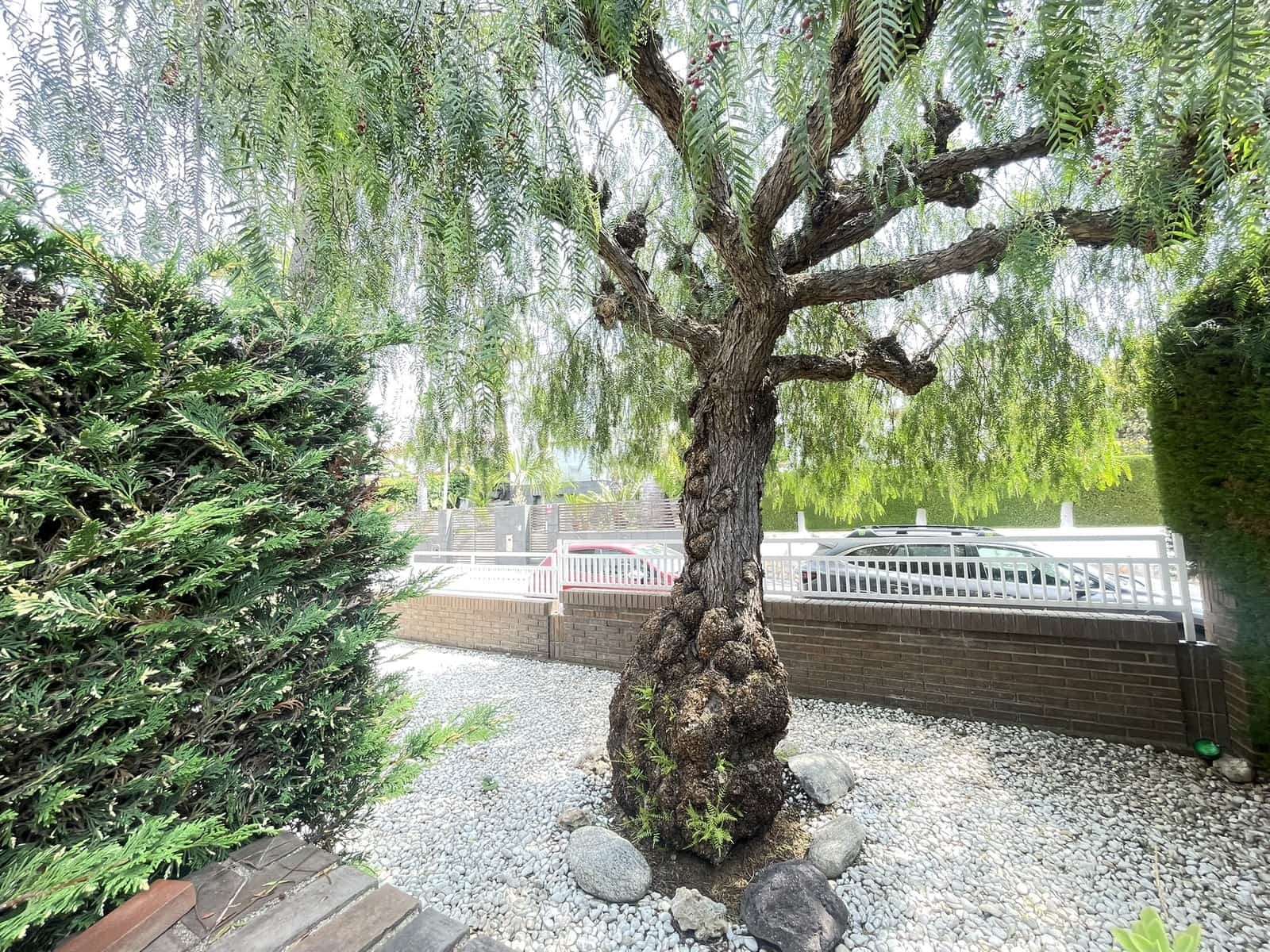 Casa de 4 habitaciones en Canet de Mar en venta con piscina garaje - 800.000 € (Ref: 10110427)