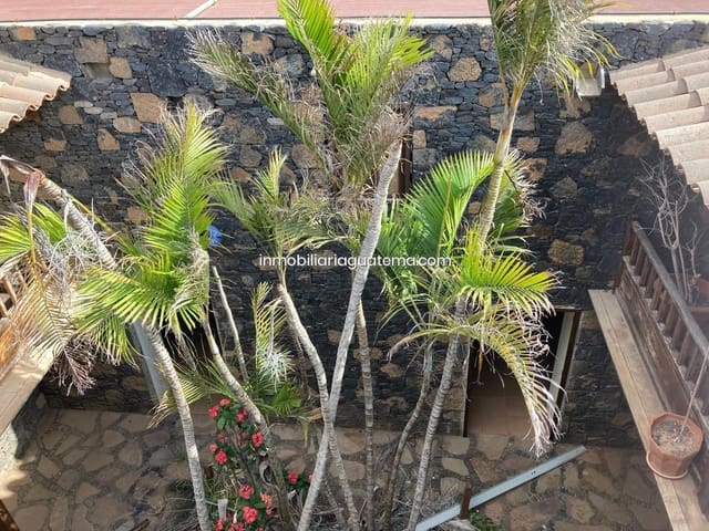 Företag till salu i Puerto del Rosario - 303 000 € (Ref: 7901283)