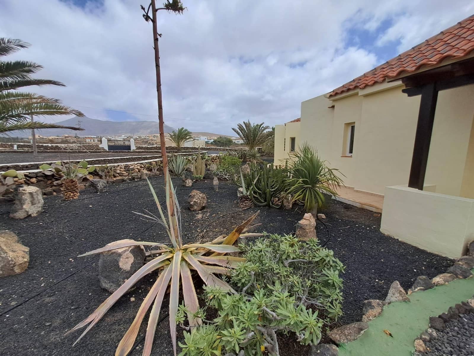 3 sypialnia Willa na sprzedaż w La Oliva z basenem garażem - 580 000 € (Ref: 9436113)