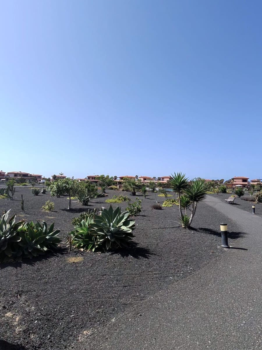 1 bedroom Terraced Villa for sale in Lajares with pool - € 169,000 (Ref: 9652241)