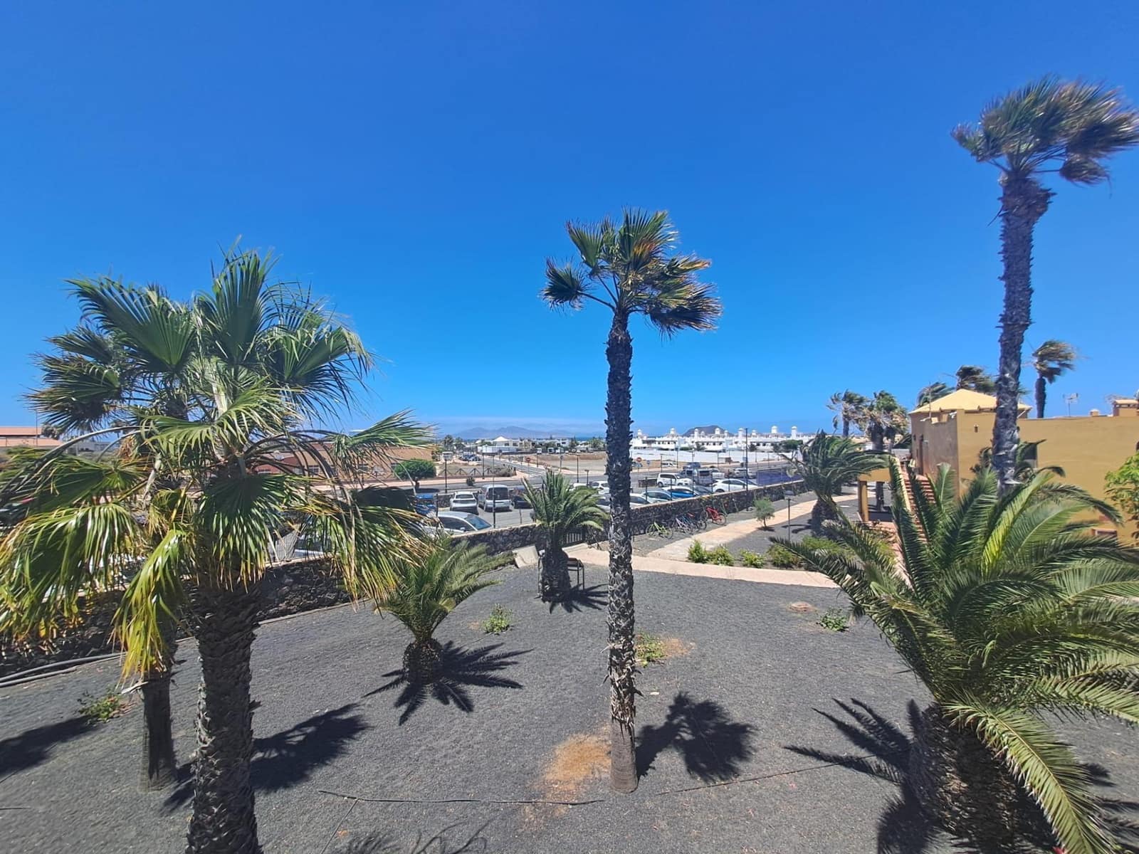 Piso de 1 habitación en Corralejo en venta con piscina - 145.000 € (Ref: 9945933)