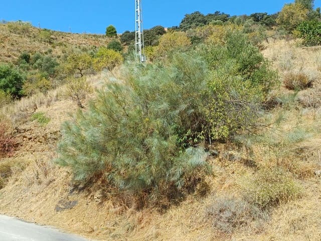 Area Edificabile in vendita in Moclinejo - 15.000 € (Rif: 10010241)