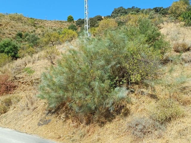 Area Edificabile in vendita in Moclinejo - 15.000 € (Rif: 10010241)