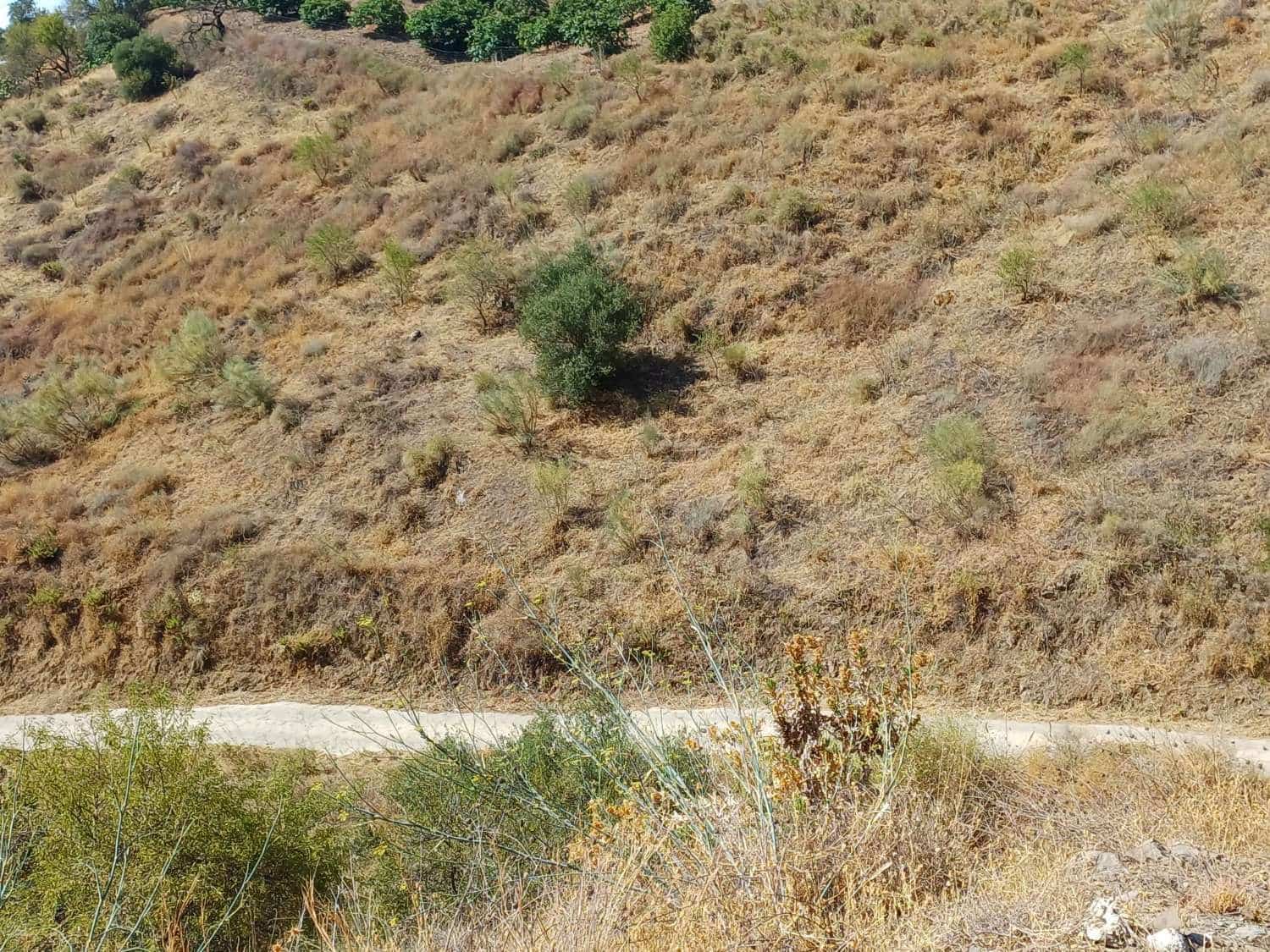 Area Edificabile in vendita in Moclinejo - 32.000 € (Rif: 10010242)