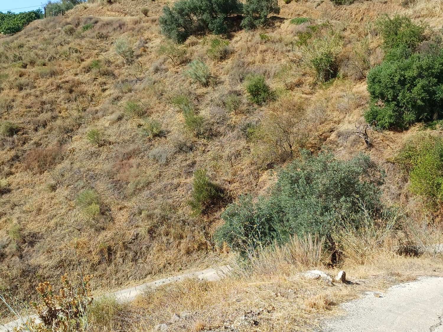 Area Edificabile in vendita in Moclinejo - 32.000 € (Rif: 10010242)