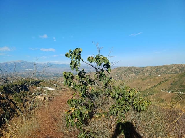 Solar/Parcela en Almáchar en venta - 150.000 € (Ref: 10021944)