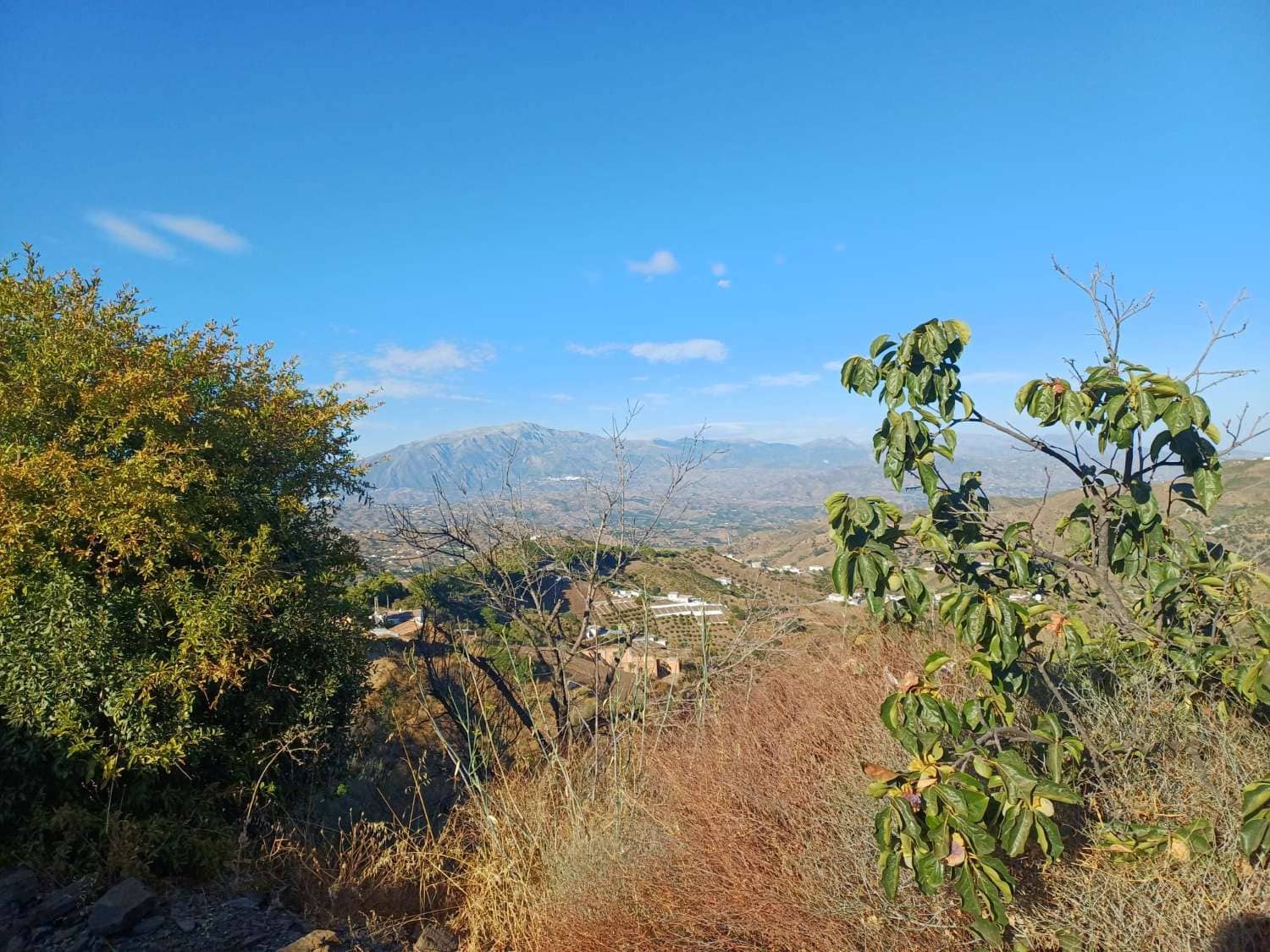 Building Plot for sale in Almachar - € 150,000 (Ref: 10021944)