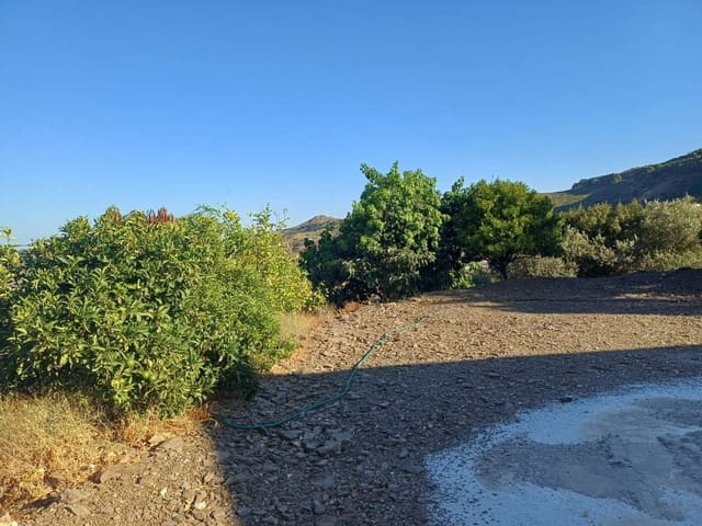 Solar/Parcela en Almáchar en venta - 150.000 € (Ref: 10021944)