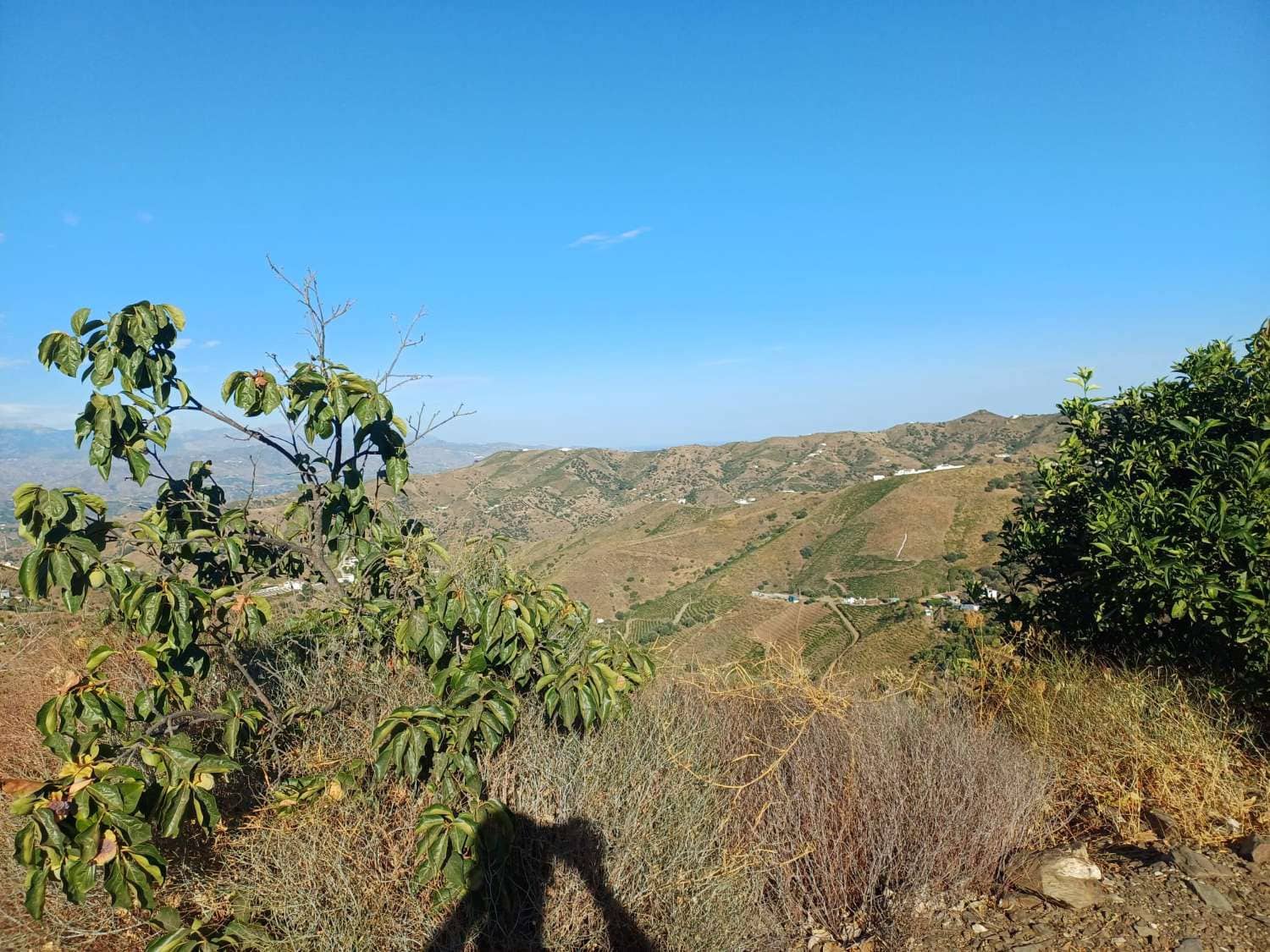 Building Plot for sale in Almachar - € 150,000 (Ref: 10021944)
