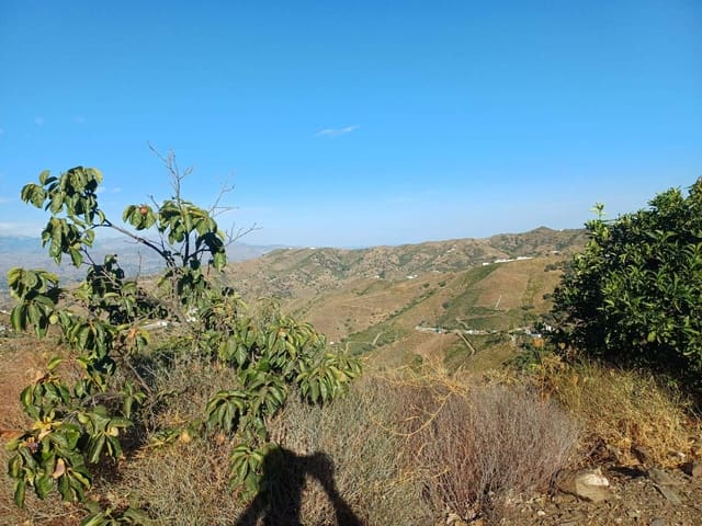 Solar/Parcela en Almáchar en venta - 150.000 € (Ref: 10021944)
