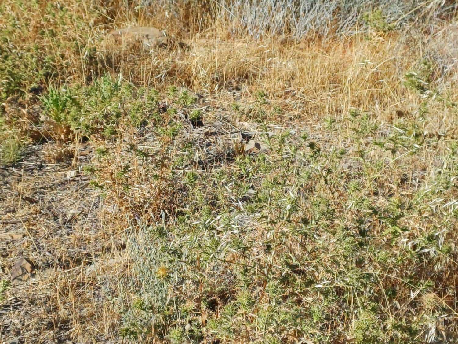Building Plot for sale in Moclinejo - € 160,000 (Ref: 10021945)