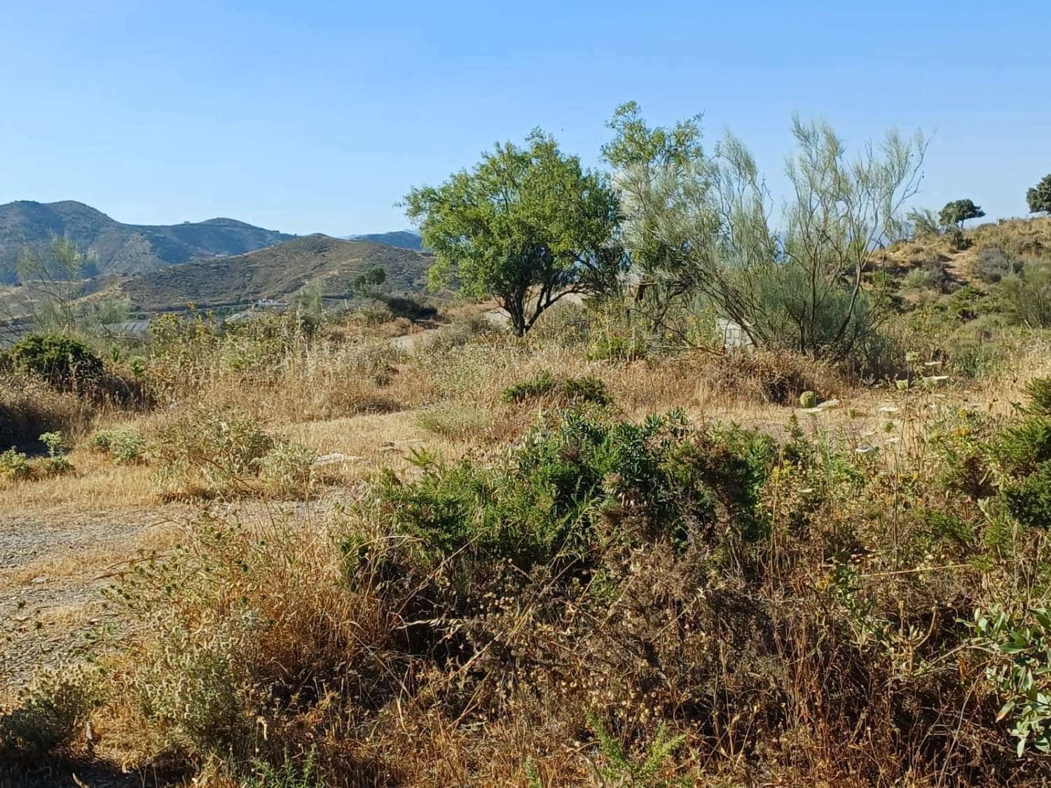 Building Plot for sale in Moclinejo - € 160,000 (Ref: 10021945)