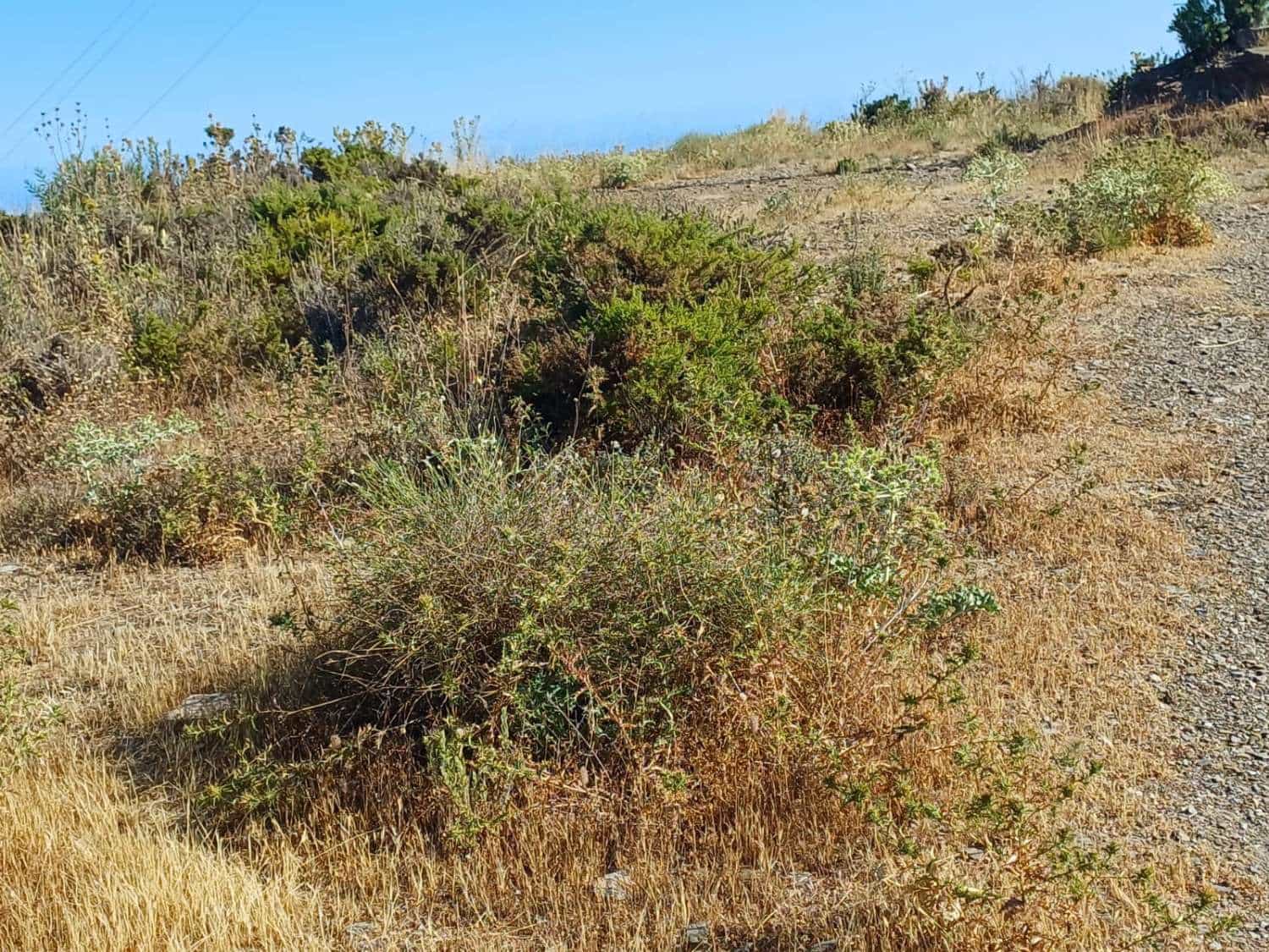 Building Plot for sale in Moclinejo - € 160,000 (Ref: 10021945)