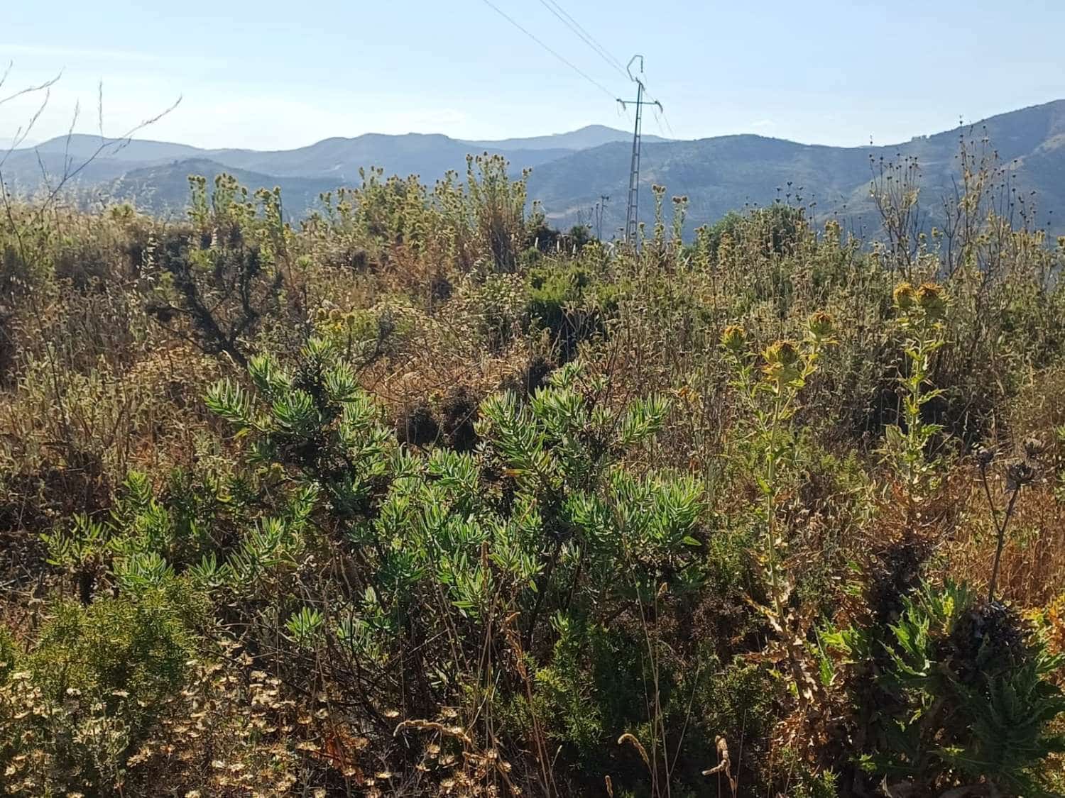 Building Plot for sale in Moclinejo - € 160,000 (Ref: 10021945)