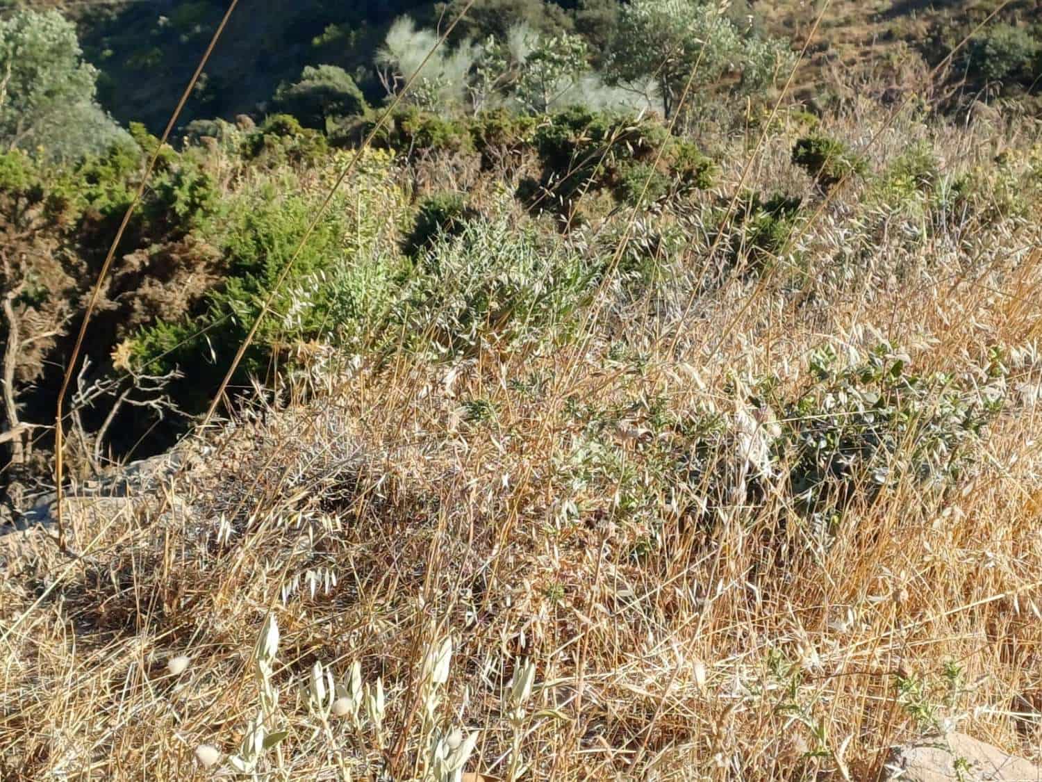 Building Plot for sale in Moclinejo - € 160,000 (Ref: 10021945)