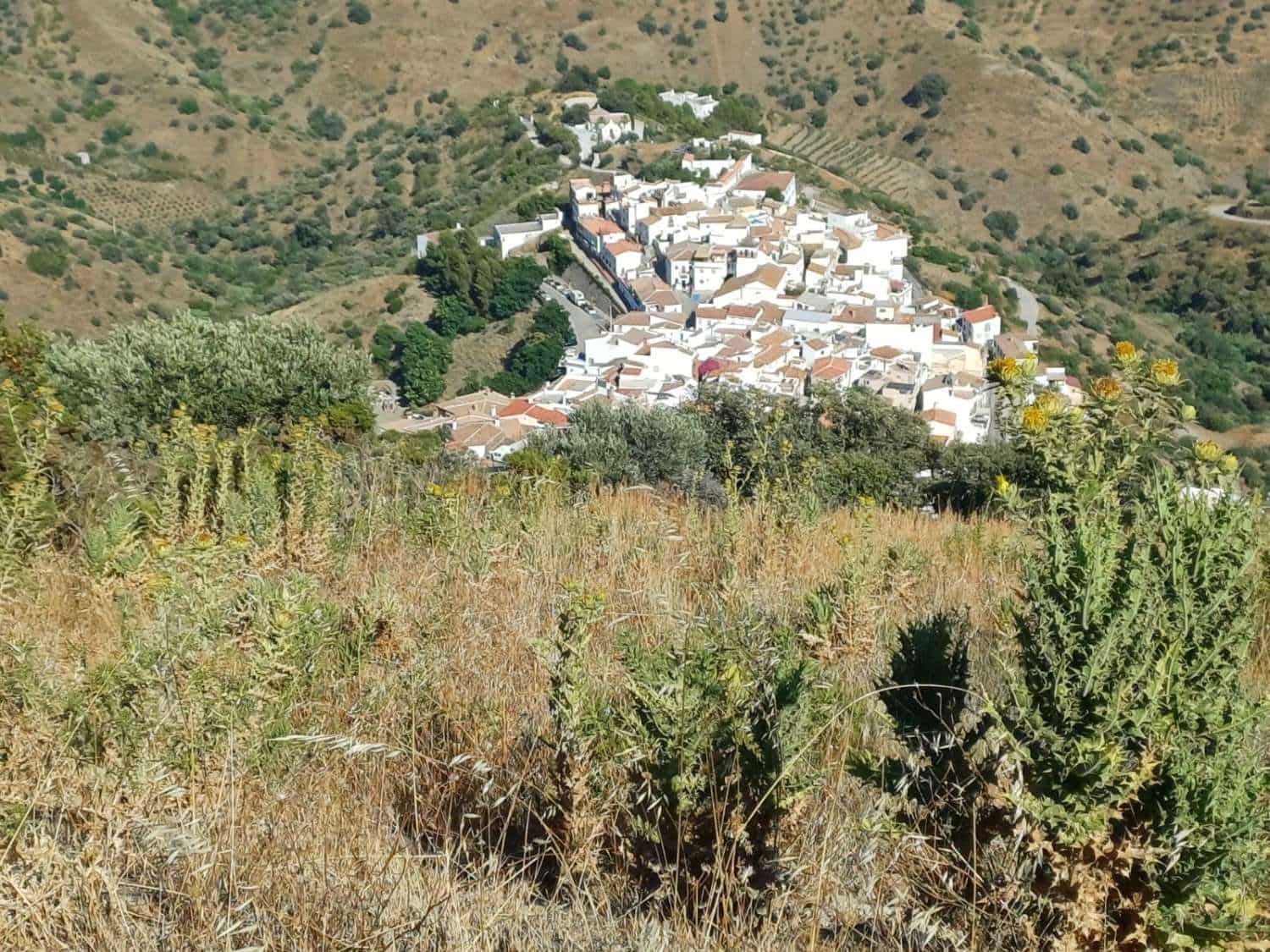 Building Plot for sale in Moclinejo - € 160,000 (Ref: 10021945)