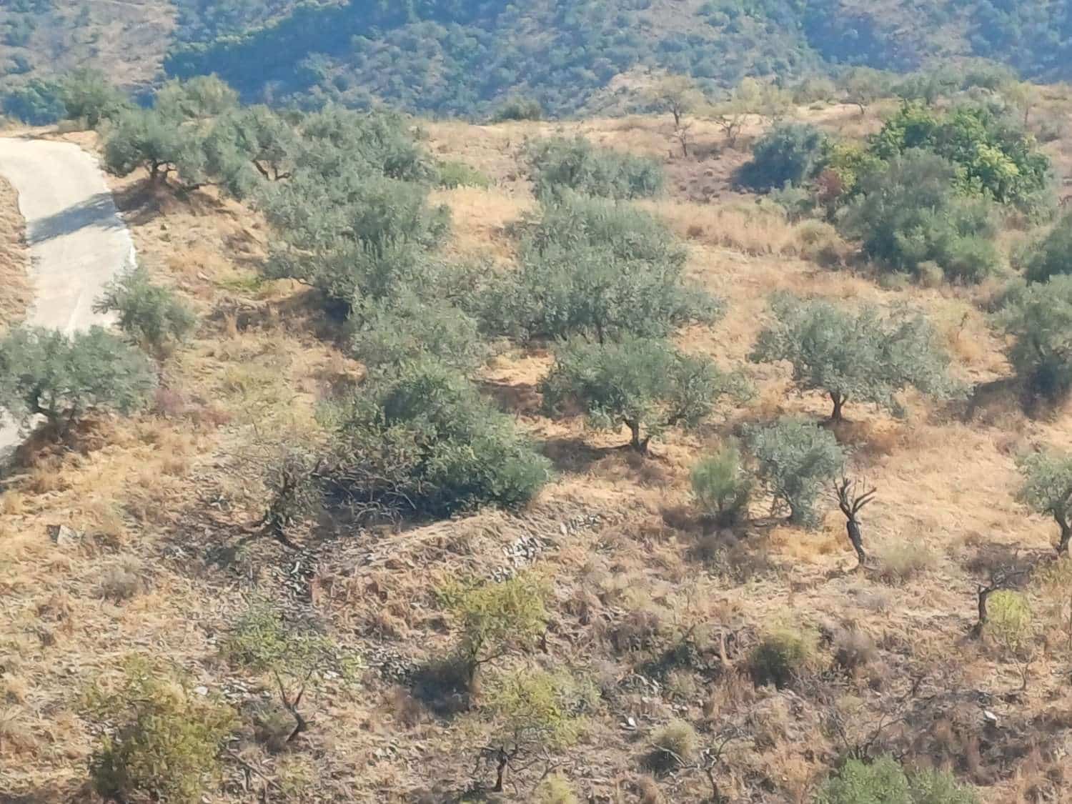 Terrain à Bâtir à vendre à Moclinejo - 45 000 € (Ref: 10033421)
